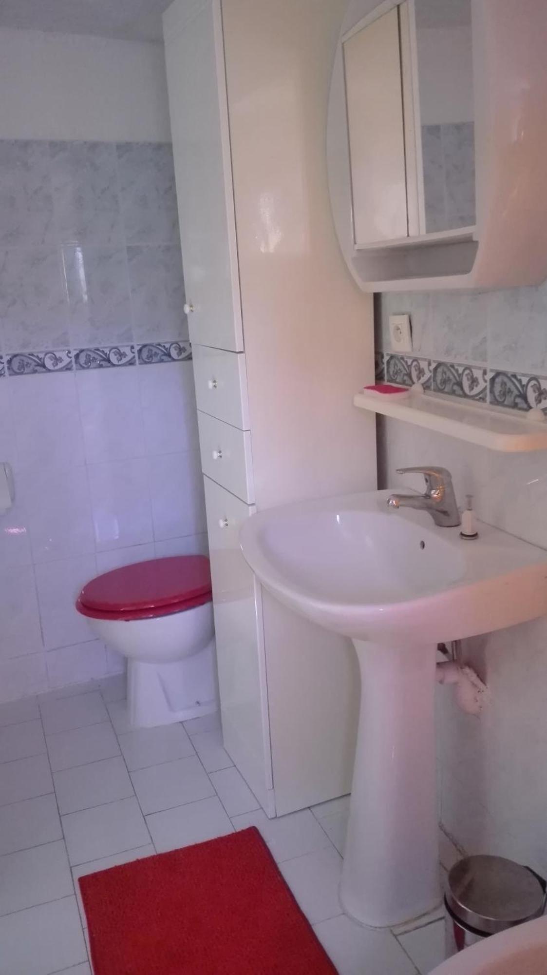 Niolu Apartment Albertacce Екстериор снимка